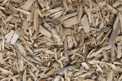 biomass boilers Maindy